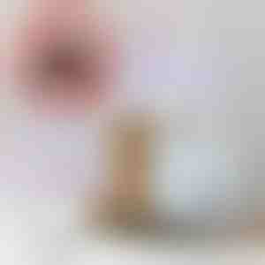 UV-lõks koidele ja sääskedele + 6 kleepuvat plaati TASUTA