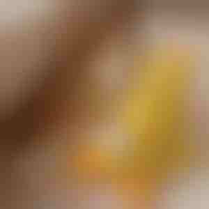 Pehme prääksuv mänguasi | CALMQUA