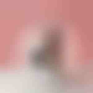 Automaatne meigipintslite puhastaja | CLEABRU