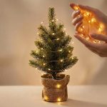 FELTLIGHTS